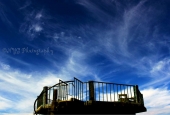 IIP Online Student Photography